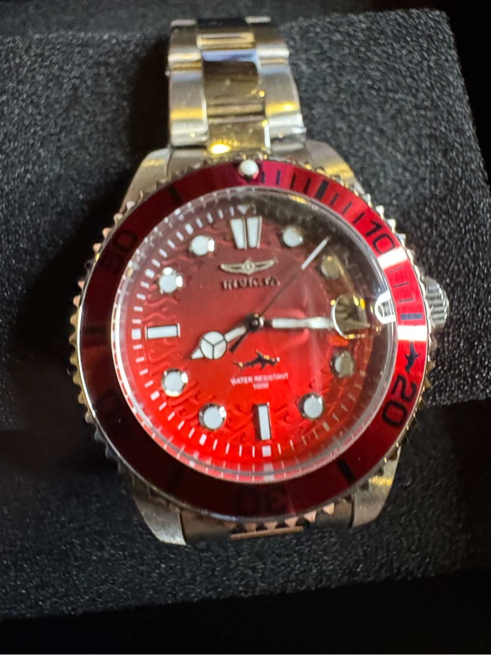 Invicta Red Gradient Dial Silver-Tone Pro Diver Watch